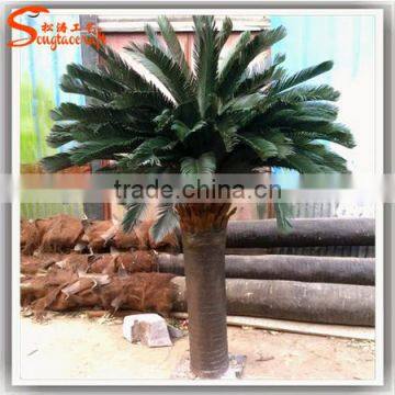 Hot Sale 40inch Artificial Sago Palms Artificial Cycas Palm Tree photo-4