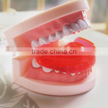 High Quality T4k Teeth Orthodontic Trainer Teeth Trainer T4A ,T4B, T4K, photo-2