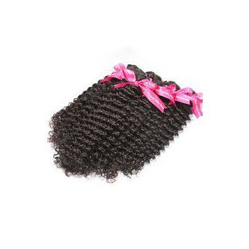 Thick 12 -20 Inch Indian 100g Curly Human Hair Natural Black Full Lace