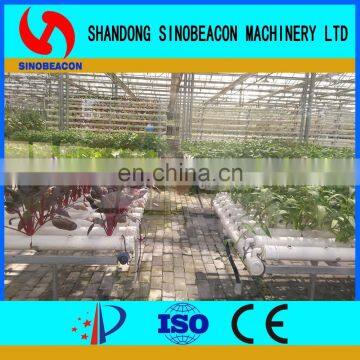 2017 Commercial Agricultural Aquaponics Greenhouse For Planting Vegetables