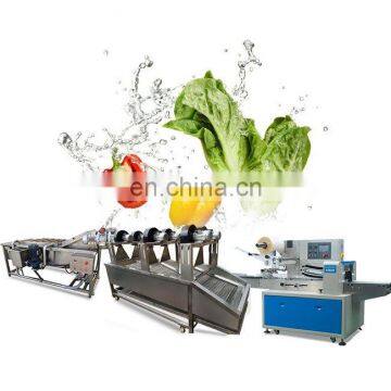 China washing machine maker supply food packaging bag cleaning line