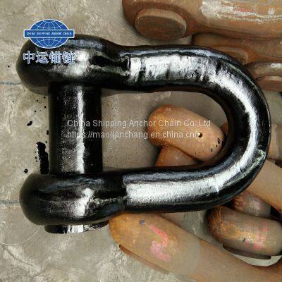 D type End Shackle Manufacturer With IACS Certificate