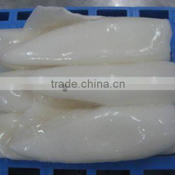 Frozen and good quality China Squid tubes