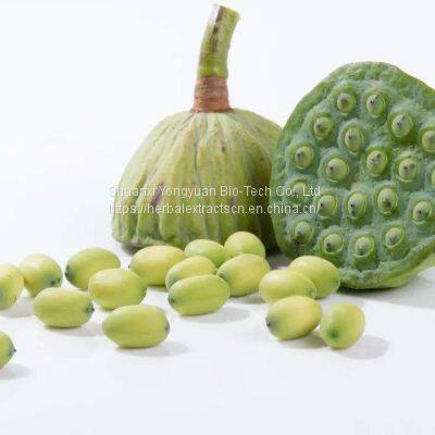 Lotus seed Extract 10:1 TLC, Semen Nelumbinis Extract, Nelumbo nucifera seed Extract, Stand against insomnia, Yongyuan Bio