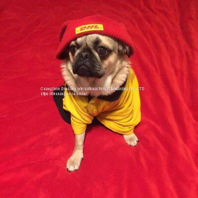 USAimportandexportbyair USADDP USA