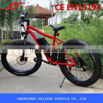 FJ-TDE07, Selfdesign Light Electric Bike 500 Watts photo-6