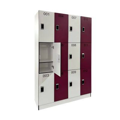 Direct Supplier HPL Melamine Board  Waterproof HPL Compact Laminate Gym Locker
