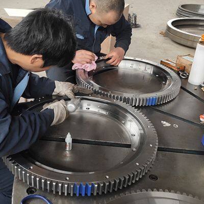 China Factory Price Unic URV 500 Slewing Ring Bearing Swing Bearings for Cranes