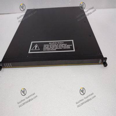 Triconex 3721 Analog Input Module photo-2