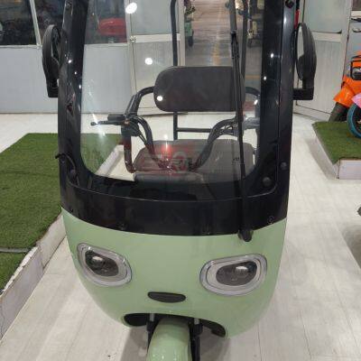 The Newest Awning Electric Tricycle for Cargo No Doors Open Electric Vehicle for 3 Adults With Best Price of China Manufacturer photo-2