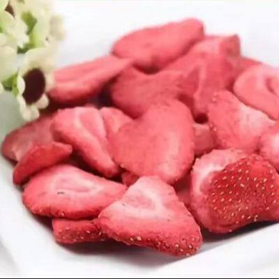 Fruit and Vegetable Deep Fryer Equipment