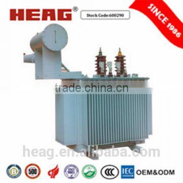 24kv Oil Immersed Distribution power Transformer electric transformer
