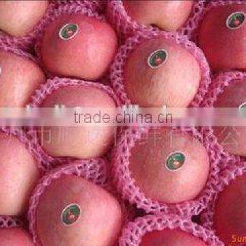 Top Quality Fresh Red Fuji Apple