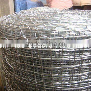 Hot Galvanized Square Wire Mesh