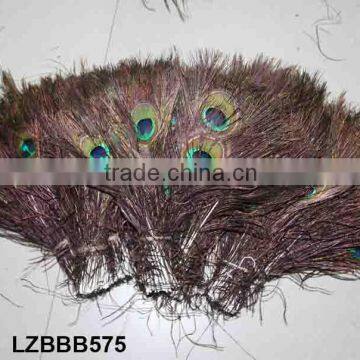 Decorative peacock feathers LZBBB575