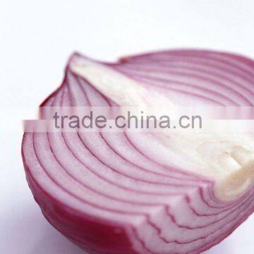 Fresh Red Onion