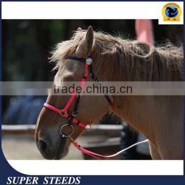 Racing bridle and rein with cold-resistant and waterproof