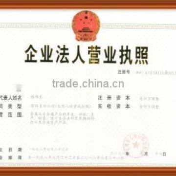 Business License of Enterprise Legal Person