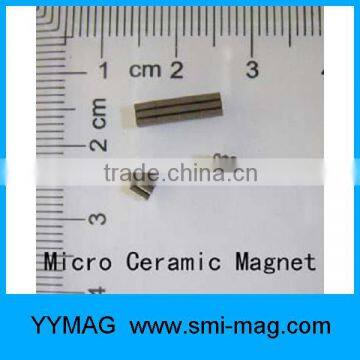 Professional Micro/mini magnet for toy