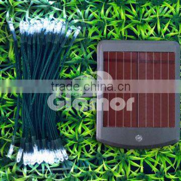 Factory Direct Sales Fashionable M5 Solar Led fairy Light