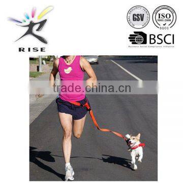 dog training leash