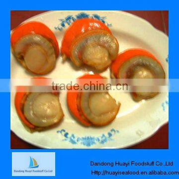 High quality frozen cooked scallop iqf