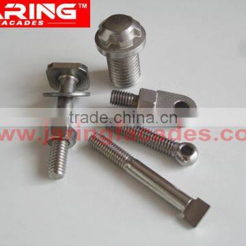 Stainless steel 304 316 special screw,special bolt,non standard fastener