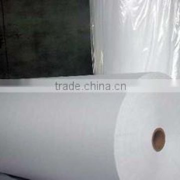 Easy immersion type electrical polyester non woven fabrics