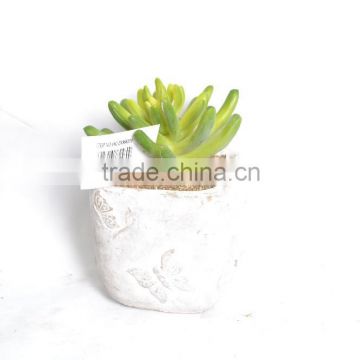 Mixed Green Artificial Succulent Plant In White Square Cement Pot