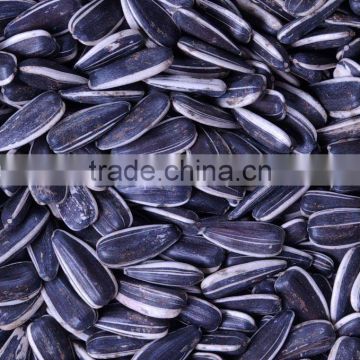 Chinese 5009 sunflower seeds by roasted with papper bag