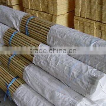 Good Quality Raw Bamboo Poles and Hot Sale Best Quality Hydroponic Bamboo Poles