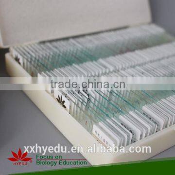 Lab Prepared Slides , Glass Prepared Slides,science Prepared Slides