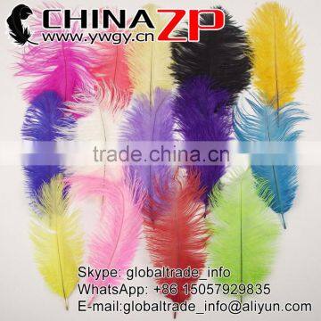 CHINAZP No.1 Supplier in China Factory Exporting Wholesale from 10-12'' Colored Ostrich Feathers for Sale