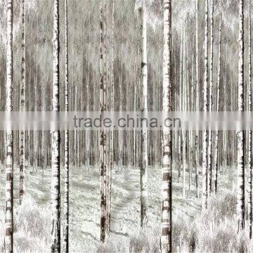 5mm Tempered Ceramic Frit Paint Glass photo-6