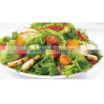 Best Selling Kitchen Tool Sporks Salad Spinner Plastic Salad Hands photo-6