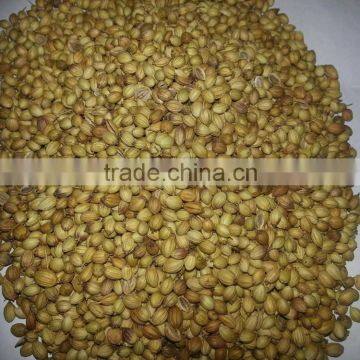 Coriander Seeds and Coriander Powder