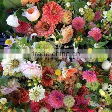 Fresh Cut Flowers Available...