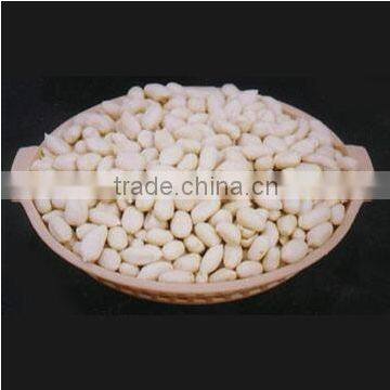 EXPORT QUALITY BLANCHED PEANUT KERNEL 60/70