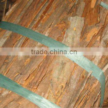 Cassia pressed of Vietnam
