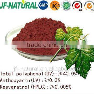 100% natural Grape leaf extract