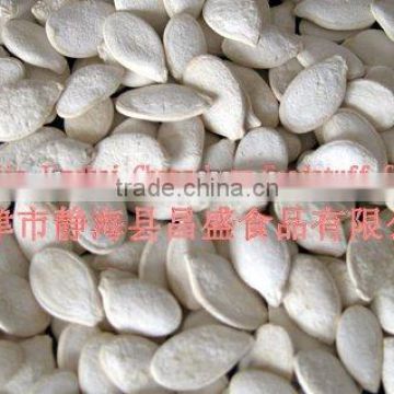 Chinese plumpness roasted and salted pumpkin seeds