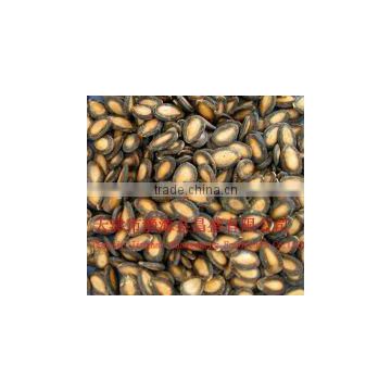 plumpness big size black watermelon seeds