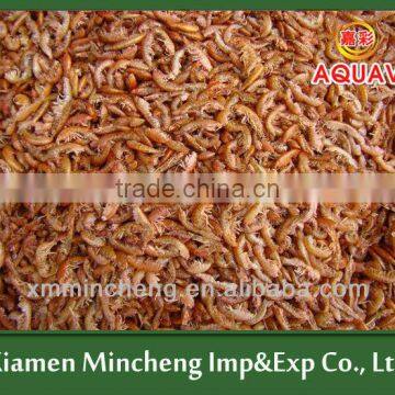100% purely natural & high nutrient SD Gammarus