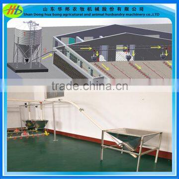 High Quality Chiken Feeders / Commodity Chicken Rearing Automatic Feed Line