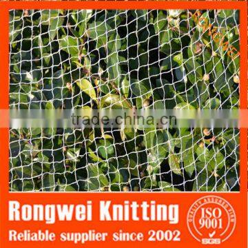 hot sell bird net with high quality