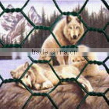 pvc coated Hexagonal wire netting/plastic hexagon net