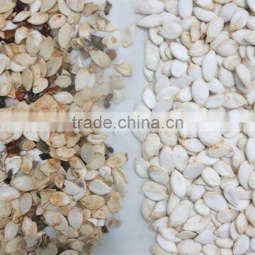 High Quality Seeds Color Sorter With CE/SONCAP Certification photo-3