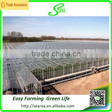 Serea hot sale agriculture glass covering greenhouse shade /green-house