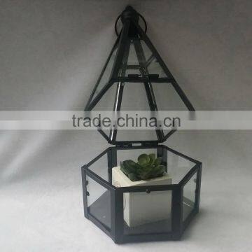 Mini Greenhouse, Steel and Glass House for Plant photo-2