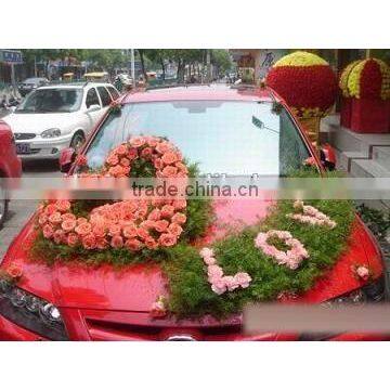 FOAM FRAMES Of Open Heart photo-5